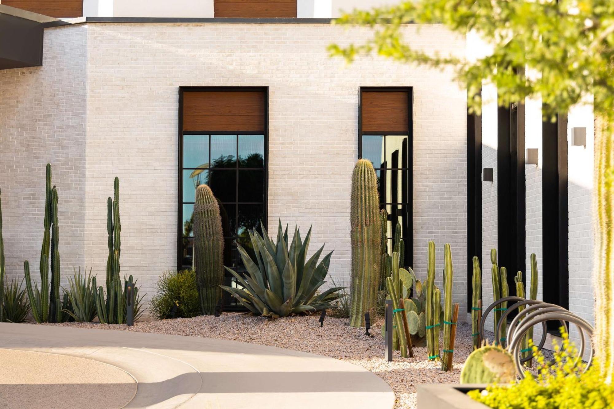 Senna House Hotel Scottsdale, Curio Collection By Hilton ภายนอก รูปภาพ